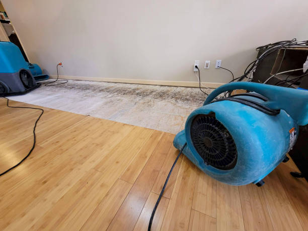 Professional Water Damage Repair technician working in Blue Ridge, VA